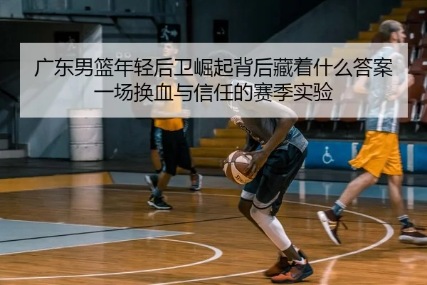 广东男篮年轻后卫崛起背后藏着什么答案一场换血与信任的赛季实验